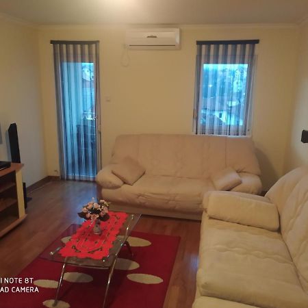 Apartman Arsenijevic Vrnjačka Banja Esterno foto